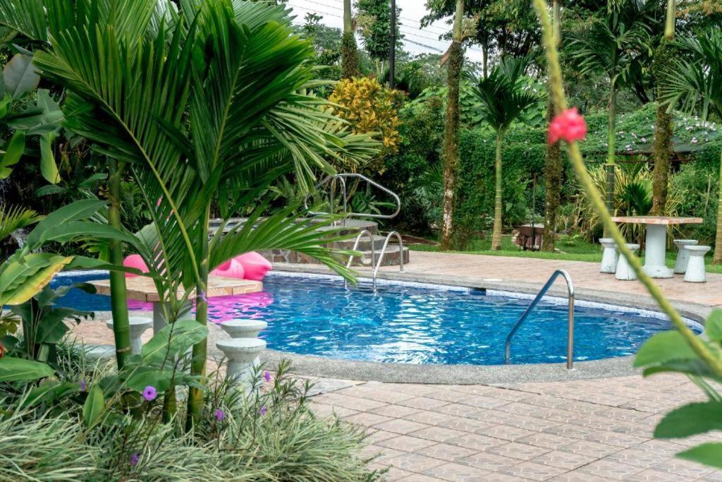 La Fortuna Hotel Vista Del Cerro מראה חיצוני תמונה