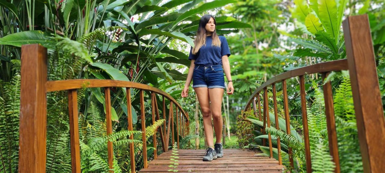 La Fortuna Hotel Vista Del Cerro מראה חיצוני תמונה