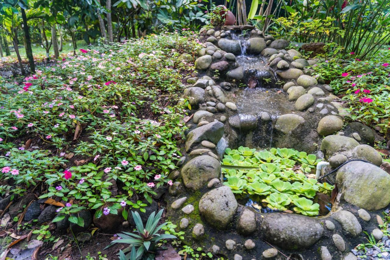 La Fortuna Hotel Vista Del Cerro מראה חיצוני תמונה