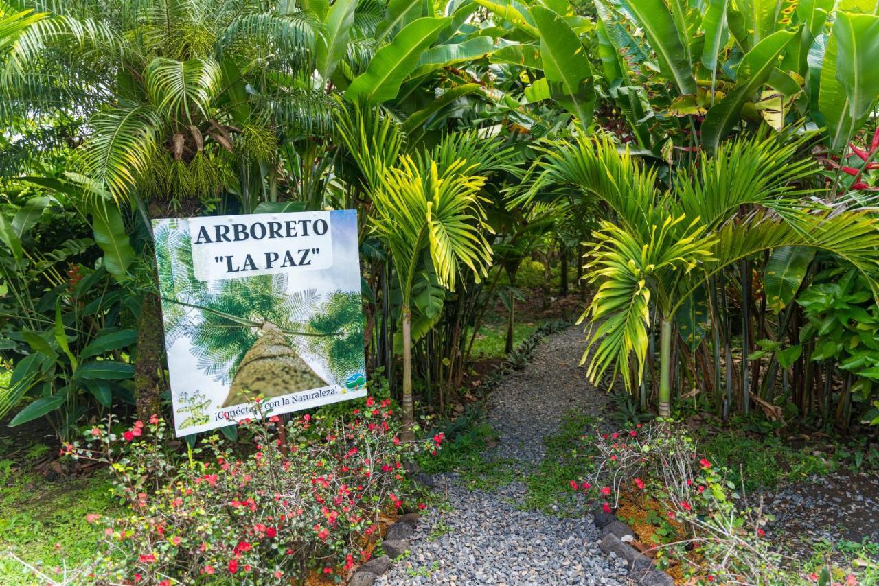 La Fortuna Hotel Vista Del Cerro מראה חיצוני תמונה